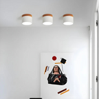 Vesta - Vintage LED Ceiling Lamp