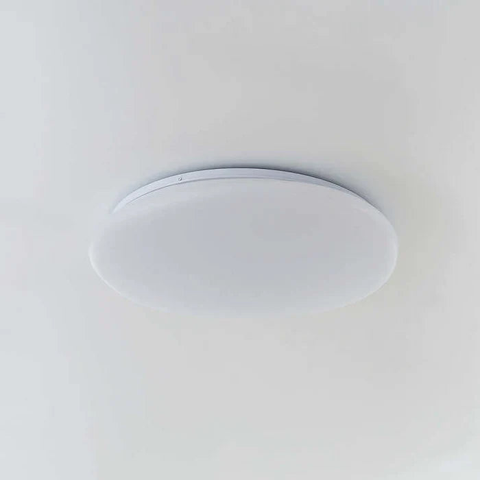 Organic LED Ceiling Lamp Natural Stone Shape