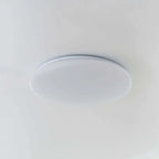 Organic LED Ceiling Lamp Natural Stone Shape