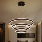 Black/Brown Ring Ceiling Pendant Contemporary 2/3/4 Lights Acrylic LED Chandelier in Warm/White Light