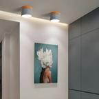 Vesta - Vintage LED Ceiling Lamp
