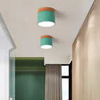 Vesta - Vintage LED Ceiling Lamp