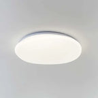 Organic LED Ceiling Lamp Natural Stone Shape