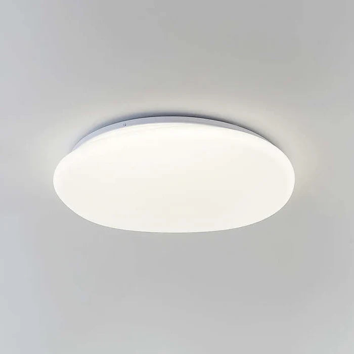 Organic LED Ceiling Lamp Natural Stone Shape