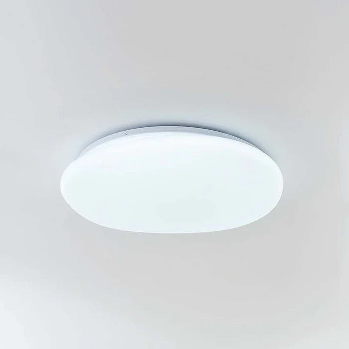 Organic LED Ceiling Lamp Natural Stone Shape