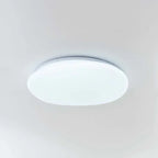 Organic LED Ceiling Lamp Natural Stone Shape