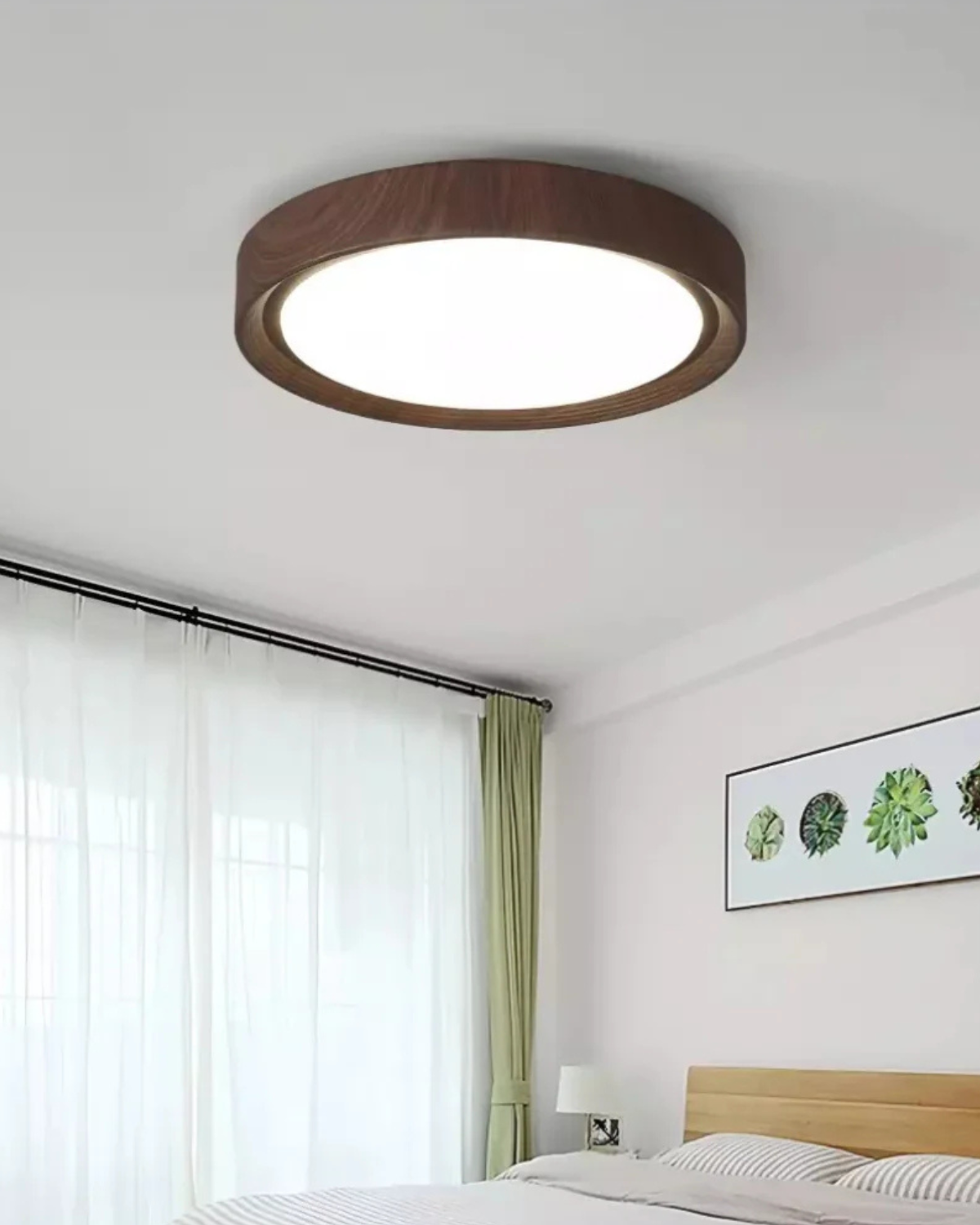 The Circle of Light