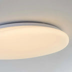 Organic LED Ceiling Lamp Natural Stone Shape