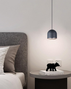 The Elegant Light Fixture