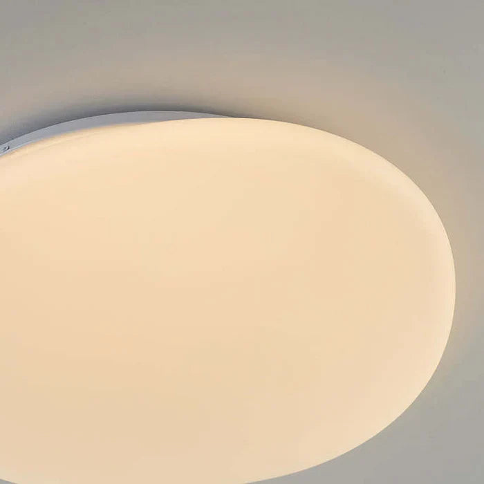 Organic LED Ceiling Lamp Natural Stone Shape