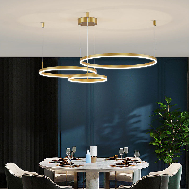 Remi Pendant Light Tir-Circle Liner