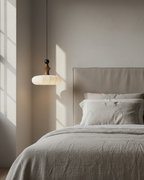 The Silk Light