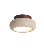 The Enlightened Dream