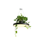 Macaron Round Hanging Light Acrylic LED Pendant Lighting Fixture in Black/Grey/White with Top Plant Pot