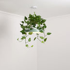 Macaron Round Hanging Light Acrylic LED Pendant Lighting Fixture in Black/Grey/White with Top Plant Pot