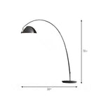 Linear/Capsule/Arch Floor Light Designer Metal Single-Bulb Living Room Standing Lamp in Black