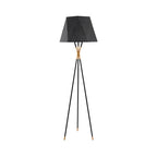 Linear/Capsule/Arch Floor Light Designer Metal Single-Bulb Living Room Standing Lamp in Black