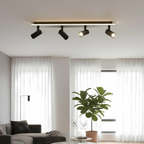 Multiple Spot Ceiling Light
