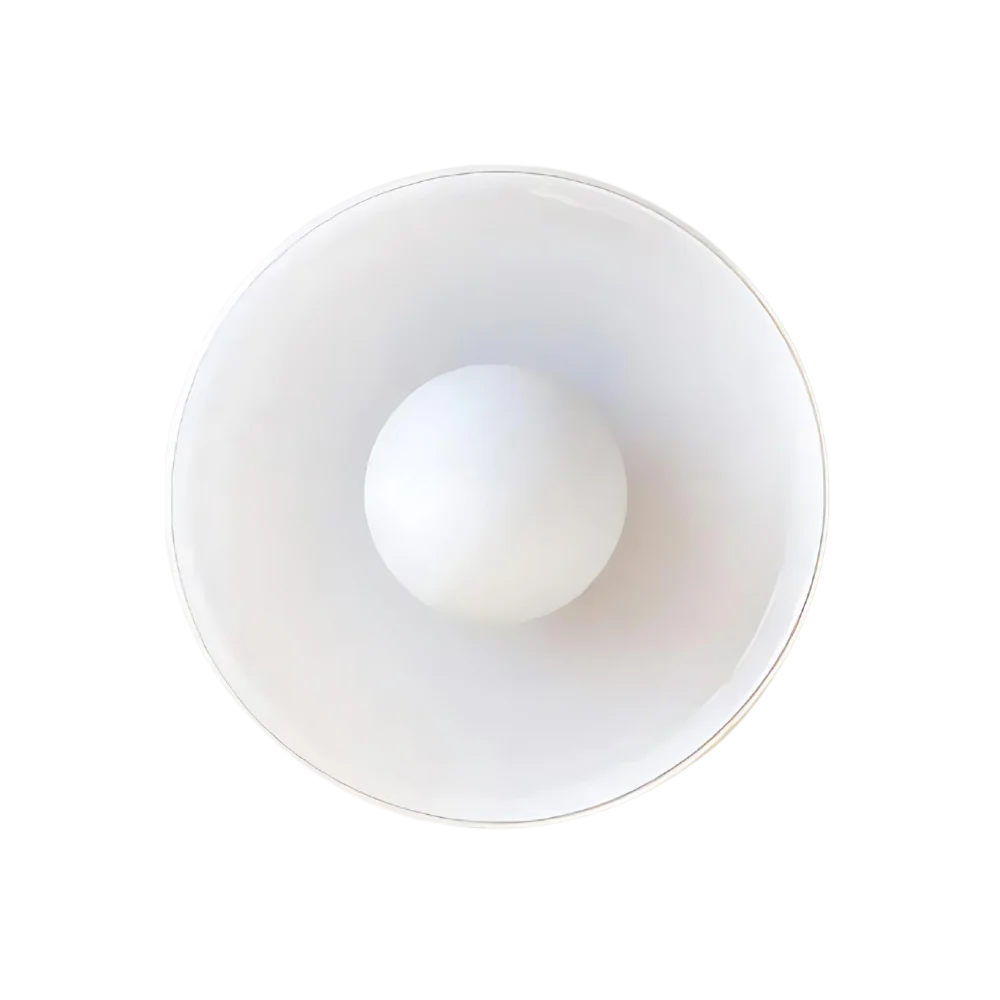 Modern Glass Disc Ceiling and Wall Light LED 1-Light