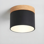 Vesta - Vintage LED Ceiling Lamp