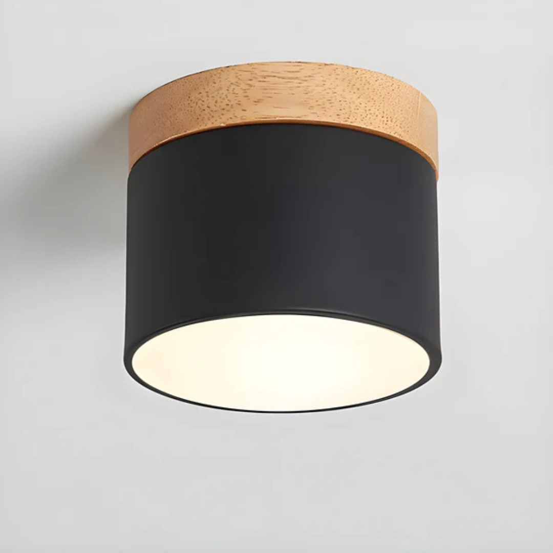 Vesta - Vintage LED Ceiling Lamp