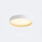 Arisha Modern LED Ceiling Light Black Metal Dining/Living Room