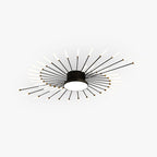 Wesley Modern Home Decoration Fireworks LED Ceiling Light