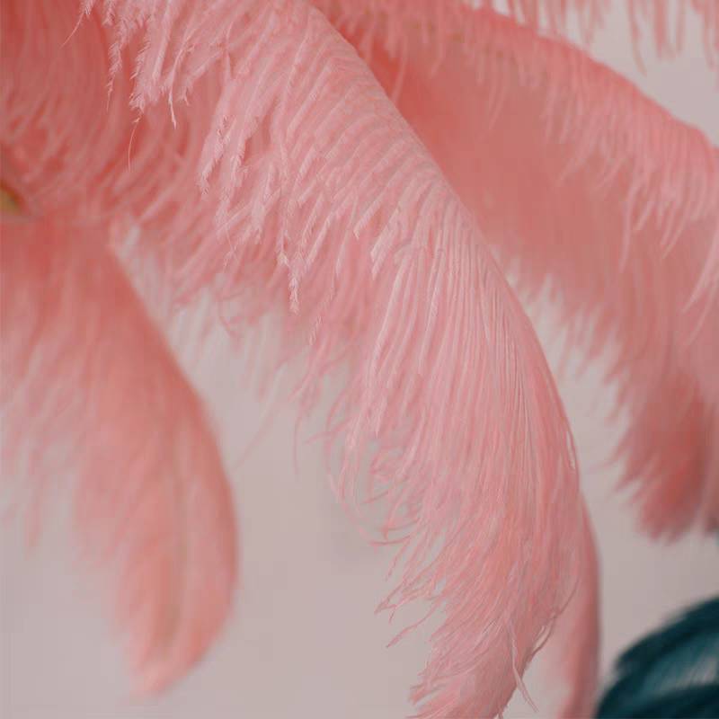 Luxury Feather/Colored Metal Floor Lamp