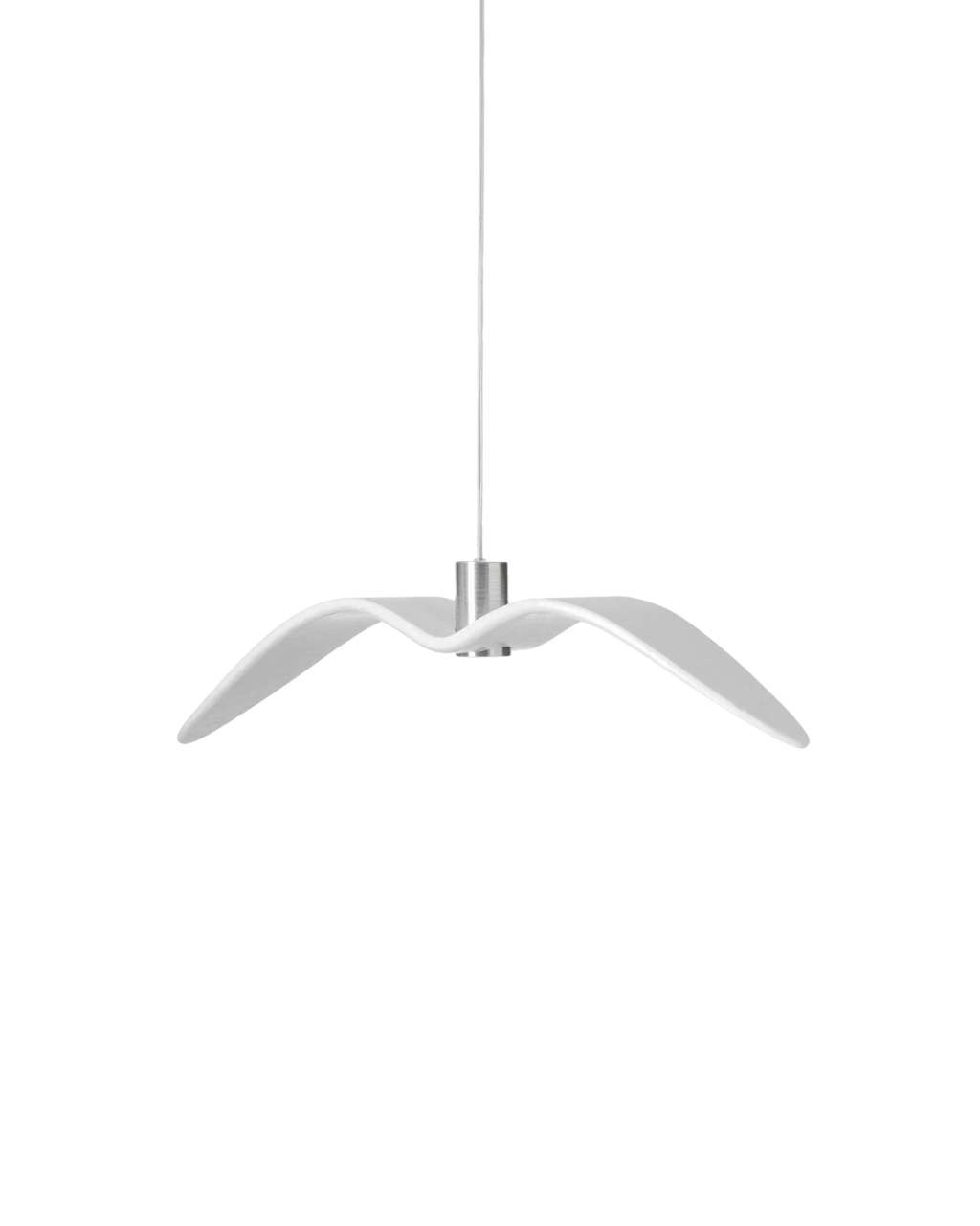 The Night Bird