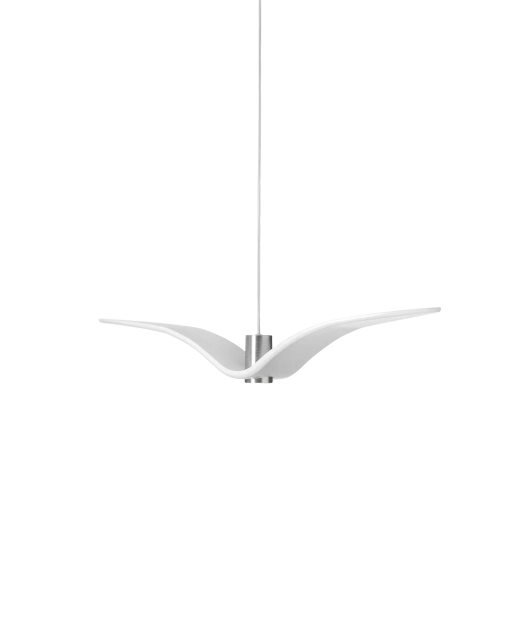 The Night Bird