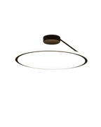 The Elegant Halo