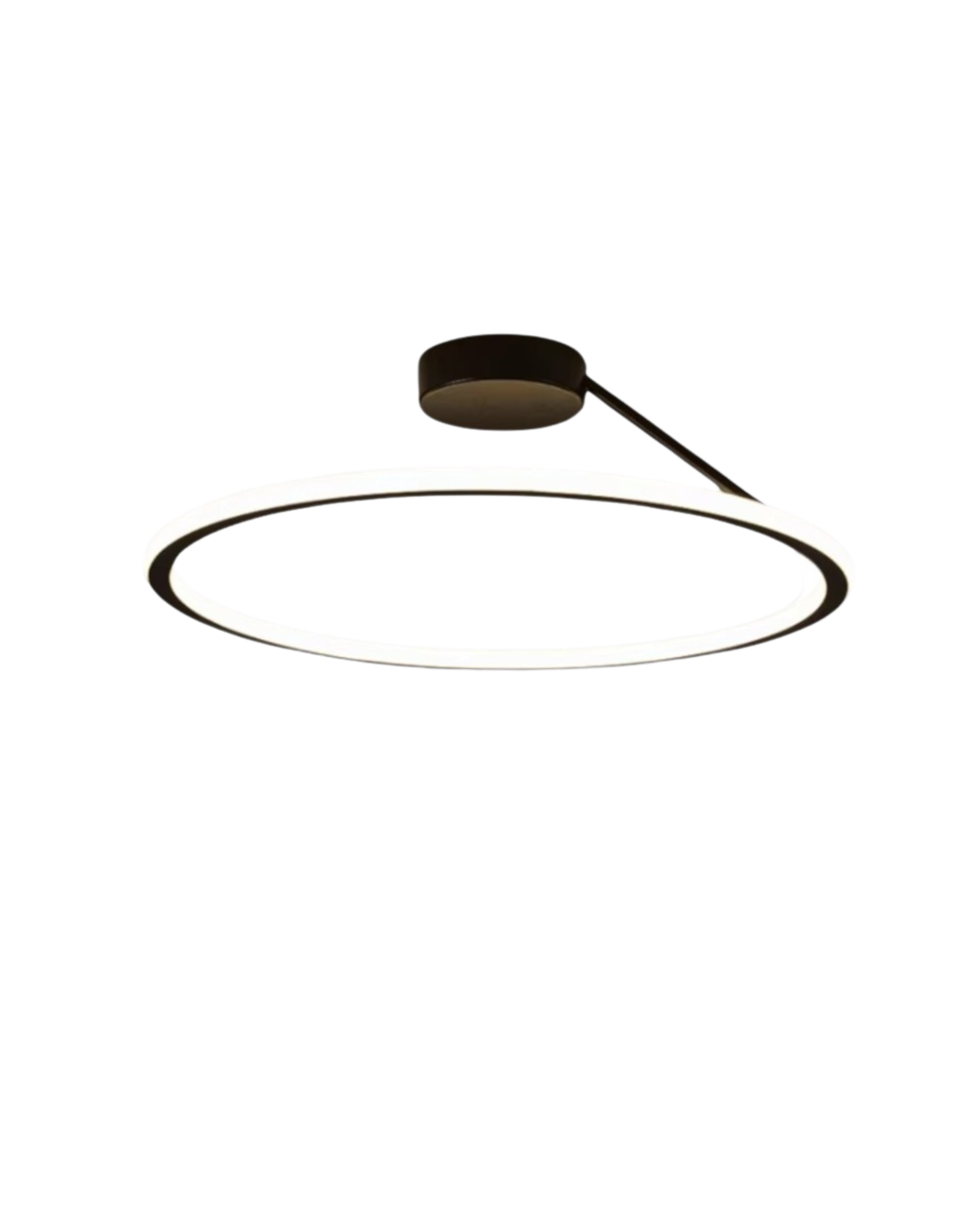 The Elegant Halo
