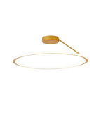 The Elegant Halo
