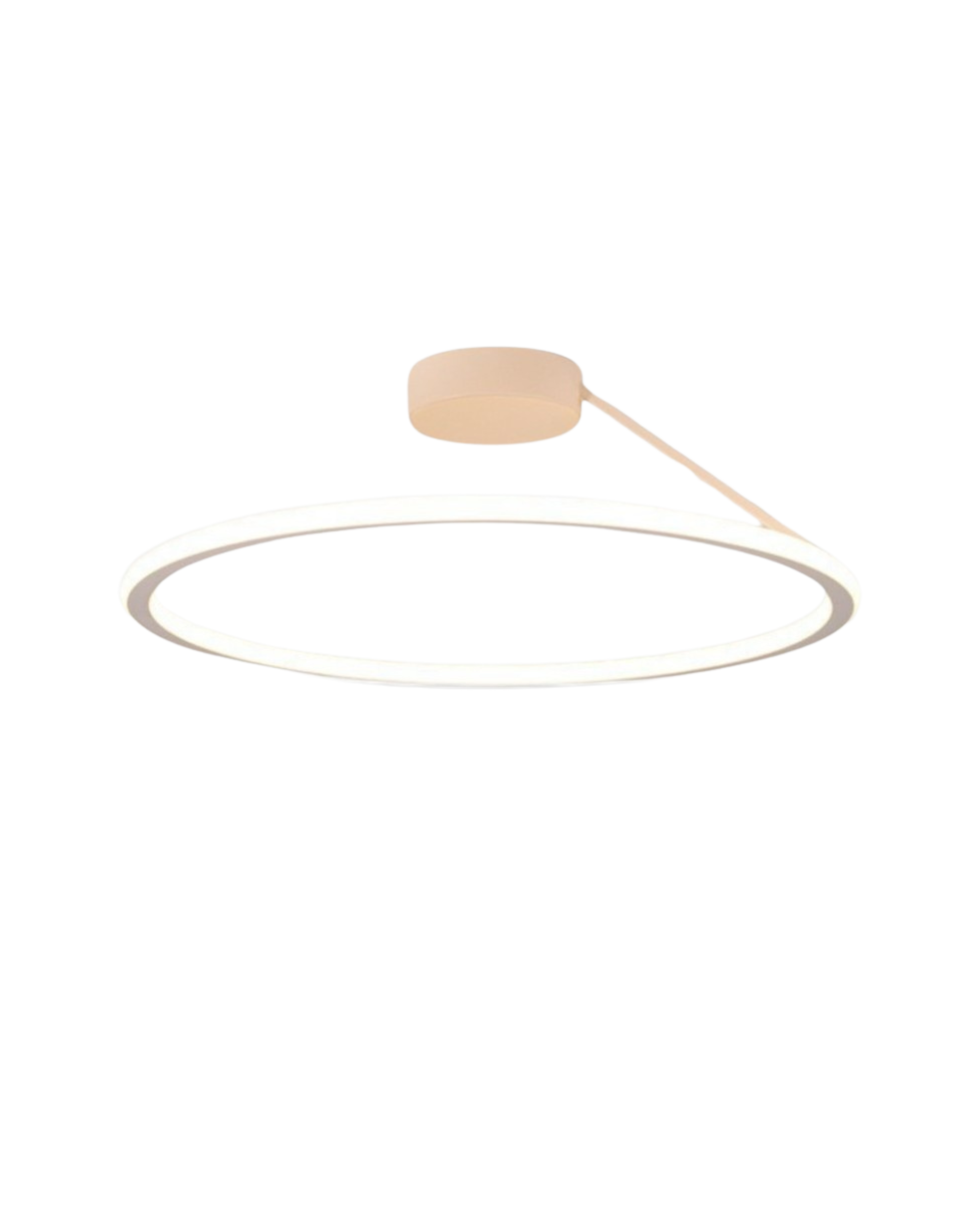 The Elegant Halo