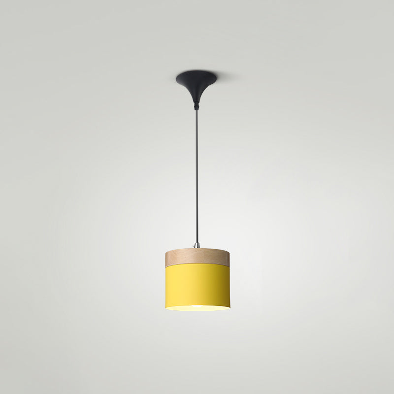 Indoor Nordic Pendant Light Modern Simple Creative Single Pendant Light for Restaurant Coffee Shop