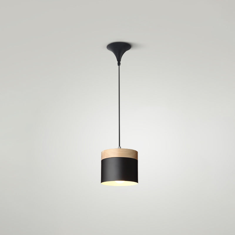 Indoor Nordic Pendant Light Modern Simple Creative Single Pendant Light for Restaurant Coffee Shop