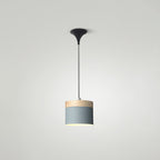 Indoor Nordic Pendant Light Modern Simple Creative Single Pendant Light for Restaurant Coffee Shop