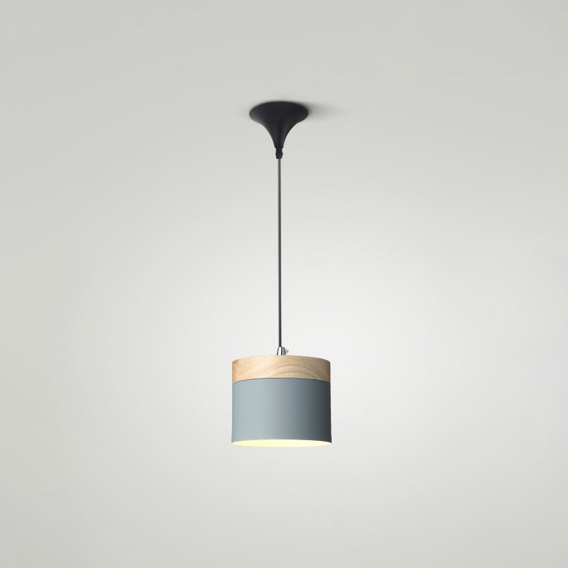 Indoor Nordic Pendant Light Modern Simple Creative Single Pendant Light for Restaurant Coffee Shop