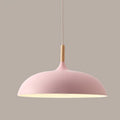 Dome Dining Room Drop Pendant Modern Style Metal 1 Light Hanging Ceiling Light with Wooden Top