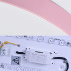 Disk Flush Mount Ceiling Light Minimalism Acrylic Ceiling Mount Light Fixture for Bedroom