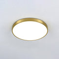 Gold Metal Circular Flush Mount Ceiling Lamp Modern Style LED Flush Mount Lighting for Bedroom