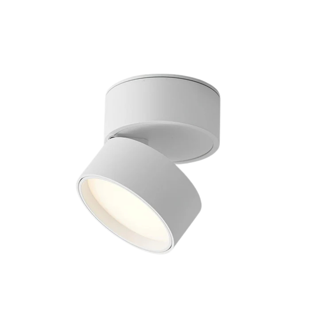 Somos - Adjustable LED Ceiling Lamp