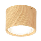 Nordic Cylinder LED Flush Mount Ceiling Light