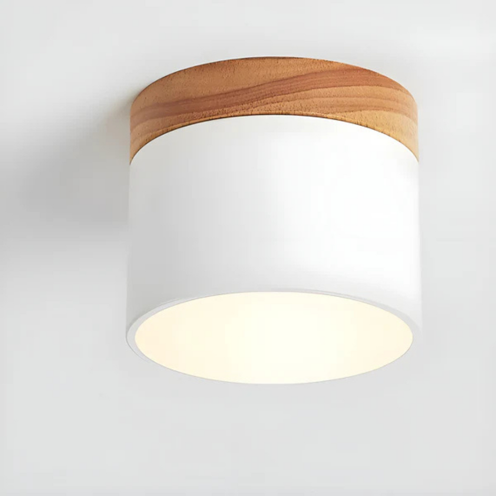 Vesta - Vintage LED Ceiling Lamp
