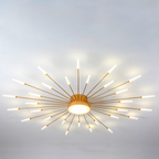 Wesley Modern Home Decoration Fireworks LED Ceiling Light