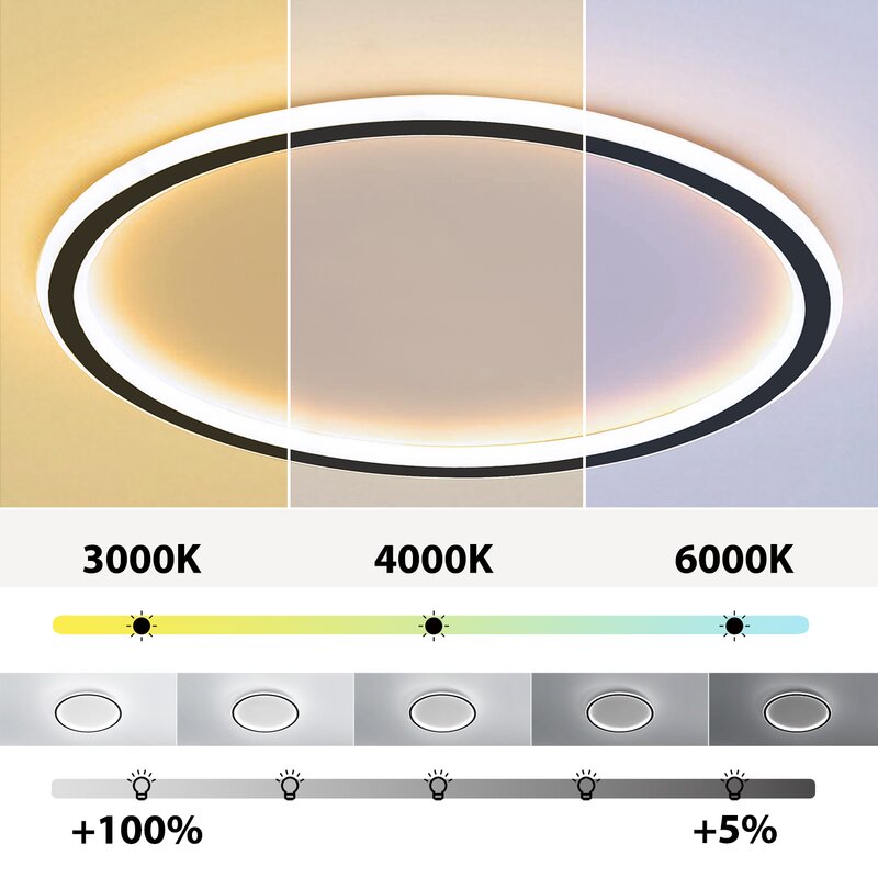 Arisha Modern Ring LED Ceiling Light Black/White Living Room/Bedroom