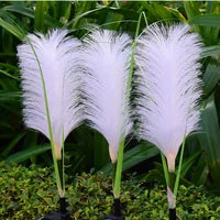 Decorative Rattan Garden Lighting - SunReed
