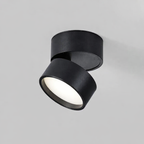 Modern Adjustable LED Ceiling Lamp