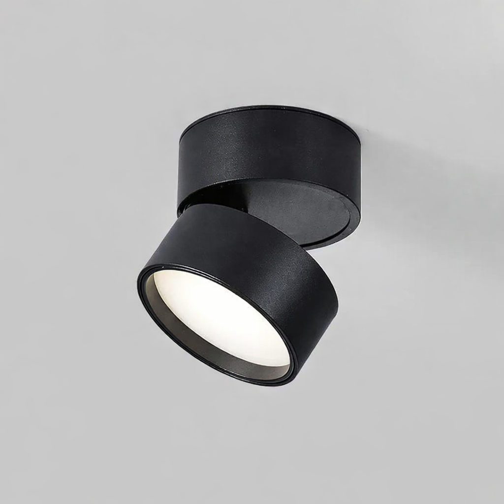 Modern Adjustable LED Ceiling Lamp