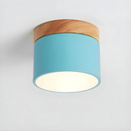 Vesta - Vintage LED Ceiling Lamp